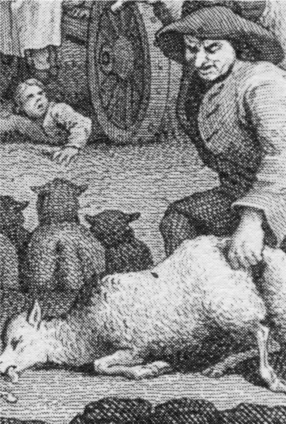 The Second Stage of Cruelty: Sheep